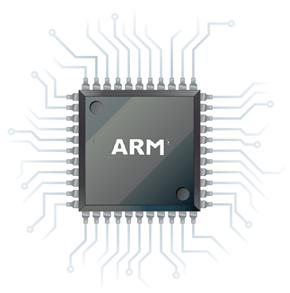 General ARM Chip Diagram