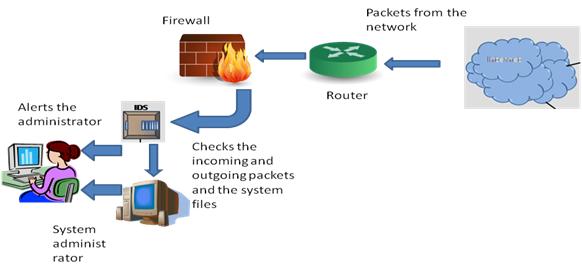 Intrusion detection system