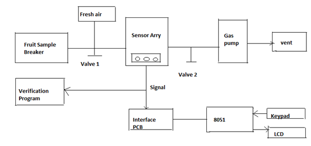 Gas testing setup for the proposed E-Nose system