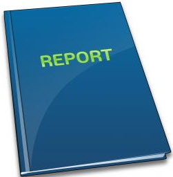 Project Report Format