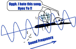 Sound Frequency