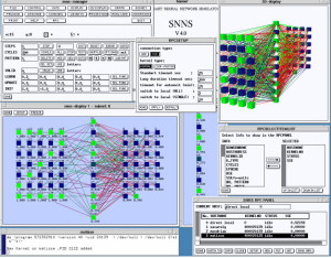 Neural Network Simulation