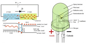 Light Emitting Diode