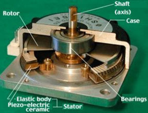 Ultrasonic Motor