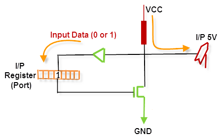 Input Pin