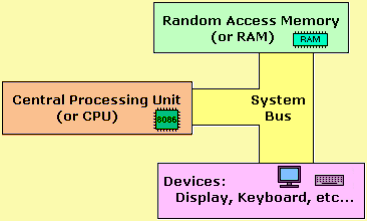 Hardware of The Processor