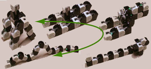 Chain Based Designs of Reconfigurable Robot