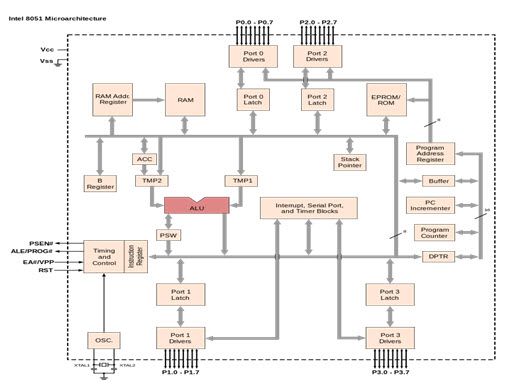 Focusing Area of the 8051 Microcontroller