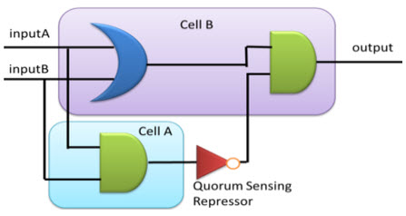 Combinational Logic Circuit