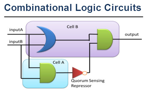 Combinational Logic Circuits