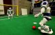 Soccer Playing Robot