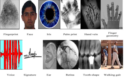 Example images of some biometric characteristics commonly used in