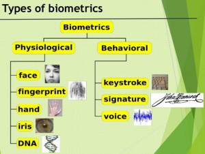 Sensor Biometrik: Lebih dari Sekadar Sidik Jari, Menuju Masa Depan Identifikasi Personal yang Lebih Aman dan Personal