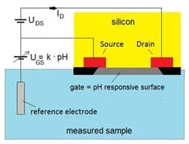 Construction of ISFET