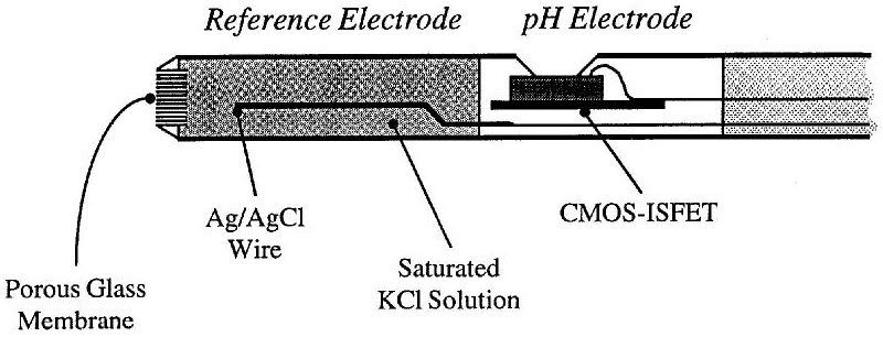 Working Principle of ISFET