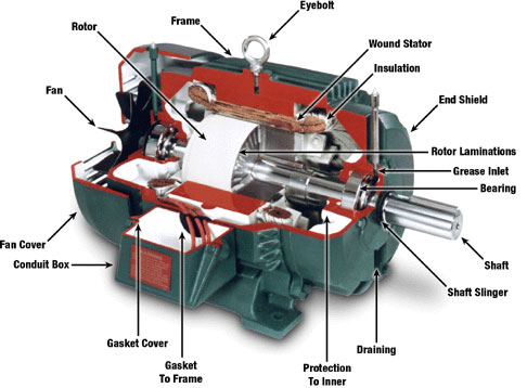 nedadgående korruption Ryd op Difference Between DC Motor, Servo Motor And Steppper Motor