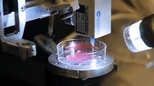 3D Bioprinting