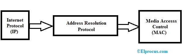 Address Resolution Protocol