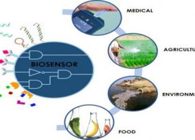 Biosensor