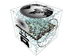 Chemical Quantum Sensors