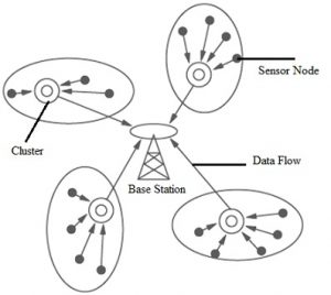 Clustered Network Architecture