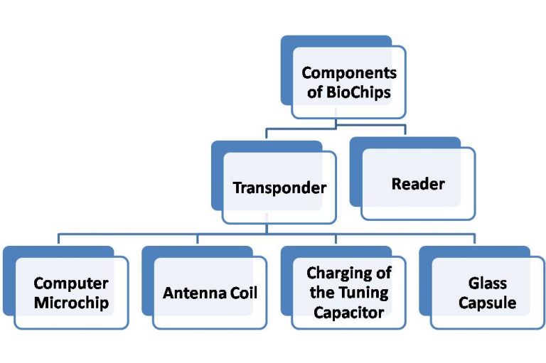 Components of BioChips