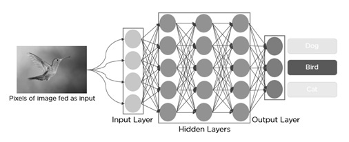 Convolutional Neural Networks