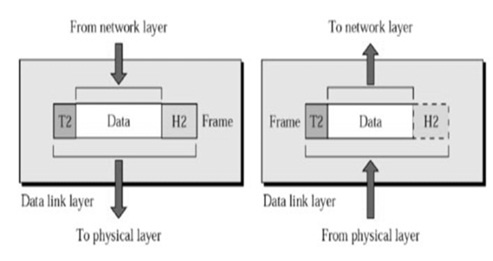 Data LInk Layer