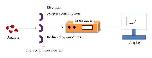 Electrochemical Biosensor