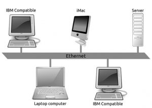Ethernet LAN