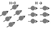 Ferromagnetic Materials