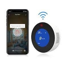 Gas Leakage Smart Detector