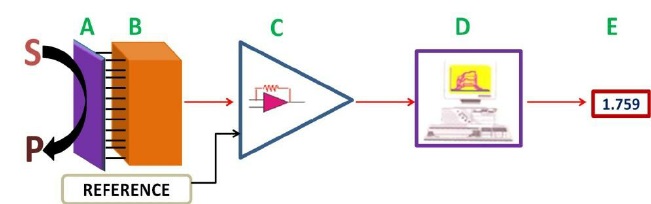 Main Components of a Biosensor