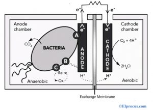 Microbial Fuel Cell Diagram