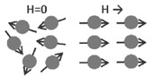 Paramagnetic