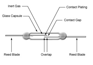 Reed Relay Construction