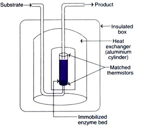 Thermometric Biosensor