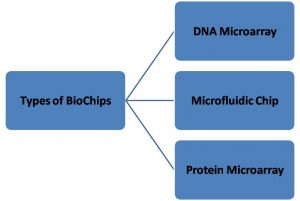 Types of BioChips