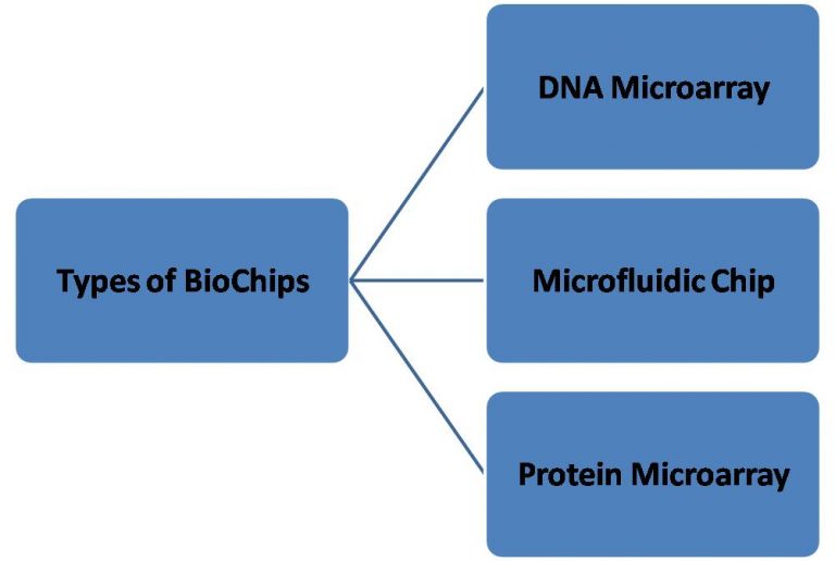 Types of BioChips