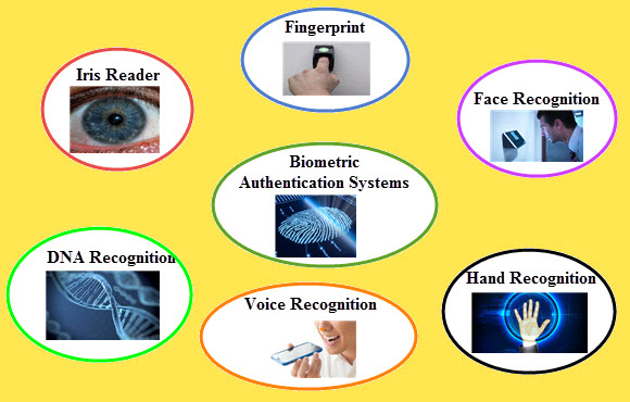 Types of Biometric Authentication