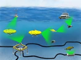 Underwater Wireless Optical Communication