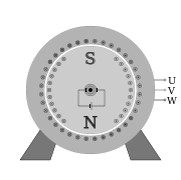 Cylindrical Rotor