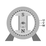 Salient Pole Rotor