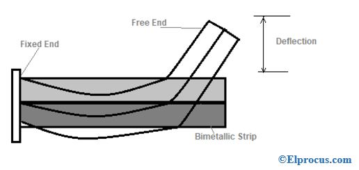 Strip Fixed At One End